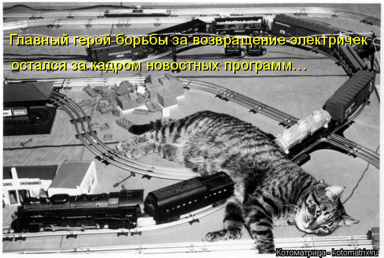 Котоматрица: Главный герой борьбы за возвращение электричек остался за кадром новостных программ…