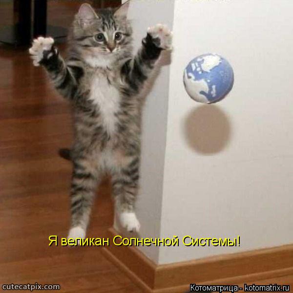 Котоматрица: Я великан Солнечной Системы!