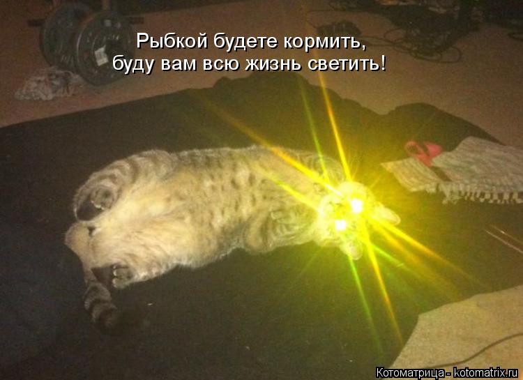 Котоматрица: Рыбкой будете кормить,  буду вам всю жизнь светить!