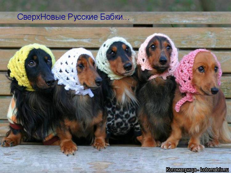 Котоматрица: СверхНовые Русские Бабки...