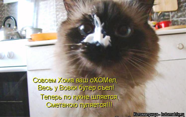 Котоматрица: Теперь по кухне шляется, Сметаною пуляется!!! Совсем Хома ваш оХОМел, Весь у Вовки бутер съел!