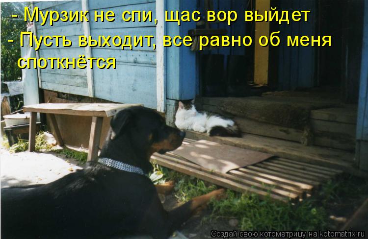 Котоматрица: - Мурзик не спи, щас вор выйдет - Пусть выходит, все равно об меня споткнётся