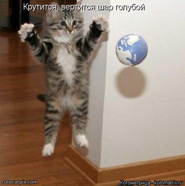 Котоматрица: Крутится, вертится шар голубой