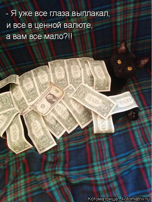 Котоматрица: - Я уже все глаза выплакал, а вам все мало?!! и все в ценной валюте,