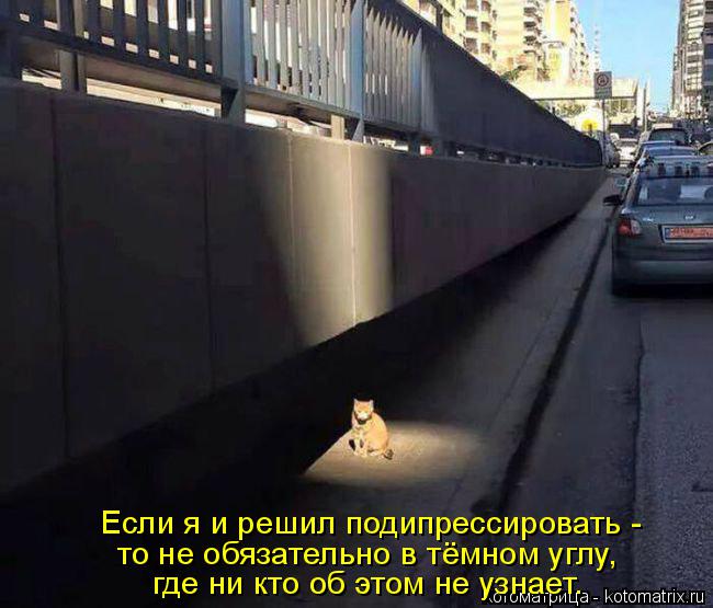 Котоматрица: Если я и решил подипрессировать -  то не обязательно в тёмном углу, где ни кто об этом не узнает.