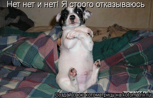 Котоматрица: Нет нет и нет! Я строго отказываюсь