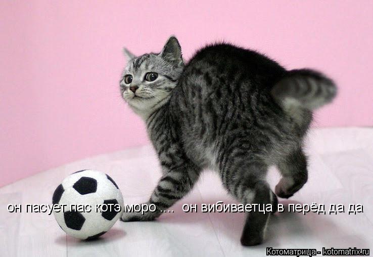 Котоматрица: он пасует пас котэ моро ....  он вибиваетца в перёд да да