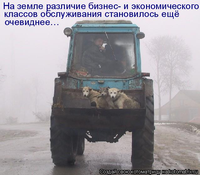 На земле различие бизнес- и экономического классов обслуживания становилось ещё очевиднее…... Котоматрица: На земле различие бизнес- и экономического классов обслуживания становилось ещё очевиднее…