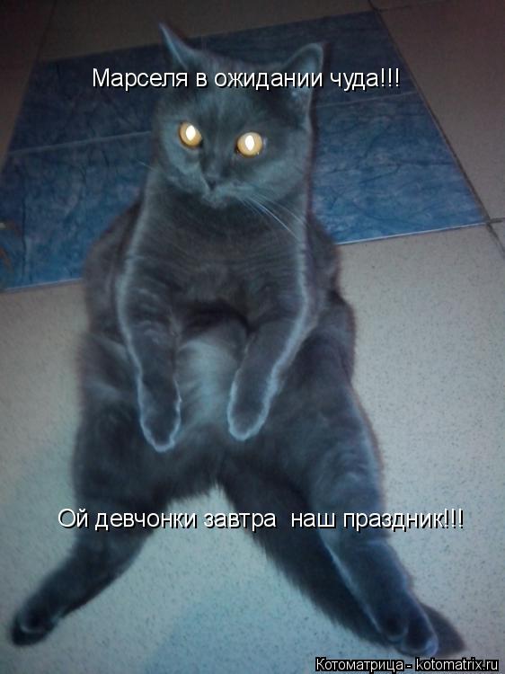 Ой девчонки завтра наш праздник!!! Марселя в ожидании чуда!!!... Котоматрица: Ой девчонки завтра наш праздник!!! Марселя в ожидании чуда!!!