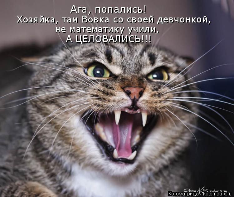 Ага, попались! Хозяйка, там Вовка со своей девчонкой, не математику учили, А ЦЕЛОВАЛИСЬ!!!... Котоматрица: Ага, попались! Хозяйка, там Вовка со своей девчонкой, не математику учили, А ЦЕЛОВАЛИСЬ!!!