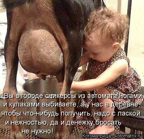 -Вы в городе сникерсы из автомата ногами и кулаками выбиваете, а у нас в деревне, чтобы что-нибудь по... Котоматрица: -Вы в городе сникерсы из автомата ногами и кулаками выбиваете, а у нас в деревне, чтобы что-нибудь получить, надо с лаской и нежностью, да и де