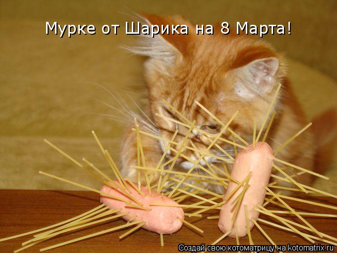 Мурке от Шарика на 8 Марта!... Котоматрица: Мурке от Шарика на 8 Марта!