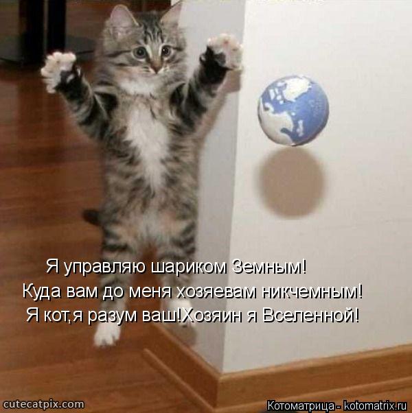 Я управляю шариком Земным! Куда вам до меня хозяевам никчемным! Я кот,я разум ваш!Хозяин я Вселенной!... Котоматрица: Я управляю шариком Земным! Куда вам до меня хозяевам никчемным! Я кот,я разум ваш!Хозяин я Вселенной!