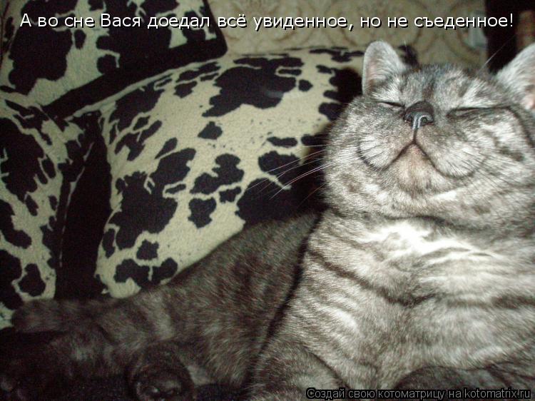 А во сне Вася доедал всё увиденное, но не съеденное!... Котоматрица: А во сне Вася доедал всё увиденное, но не съеденное!