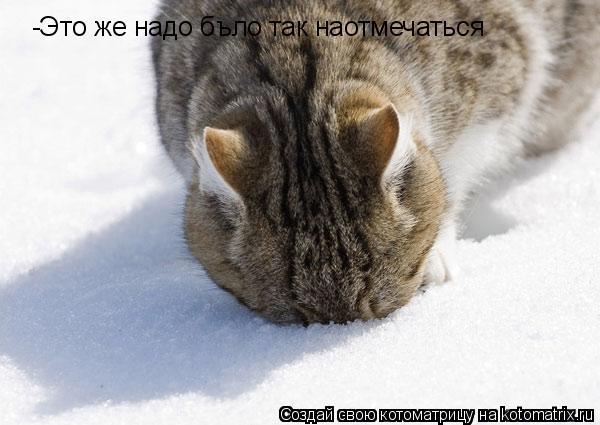 -Это же надо бъло так наотмечаться... Котоматрица: -Это же надо бъло так наотмечаться