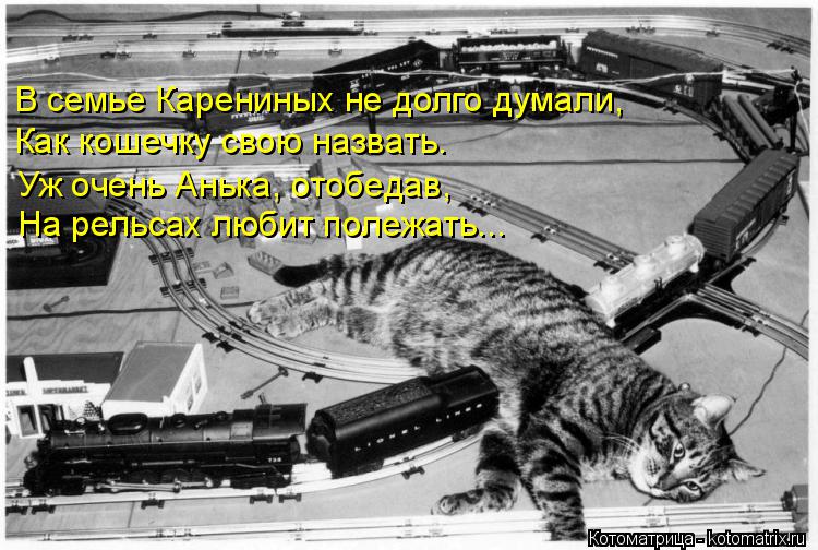 Котоматрица: В семье Карениных не долго думали, Как кошечку свою назвать. Уж очень Анька, отобедав,  На рельсах любит полежать...