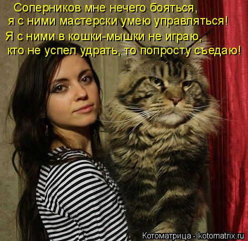 Соперников мне нечего бояться, я с ними мастерски умею управляться! Я с ними в кошки-мышки не играю, ... Котоматрица: Соперников мне нечего бояться, я с ними мастерски умею управляться! Я с ними в кошки-мышки не играю, кто не успел удрать, то попросту съедаю!