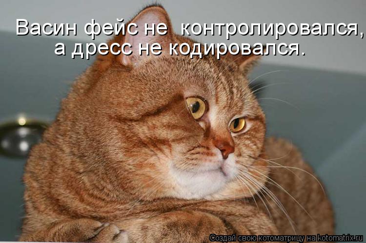 Васин фейс не контролировался, а дресс не кодировался.... Котоматрица: Васин фейс не контролировался, а дресс не кодировался.