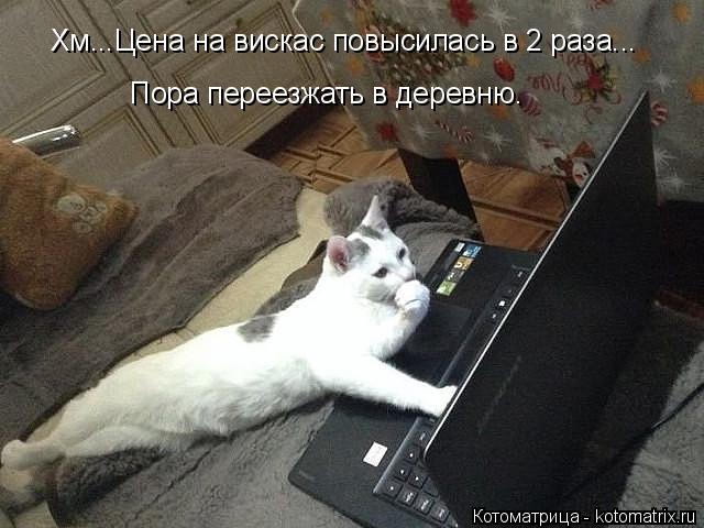 Хм...Цена на вискас повысилась в 2 раза... Пора переезжать в деревню.... Котоматрица: Хм...Цена на вискас повысилась в 2 раза... Пора переезжать в деревню.