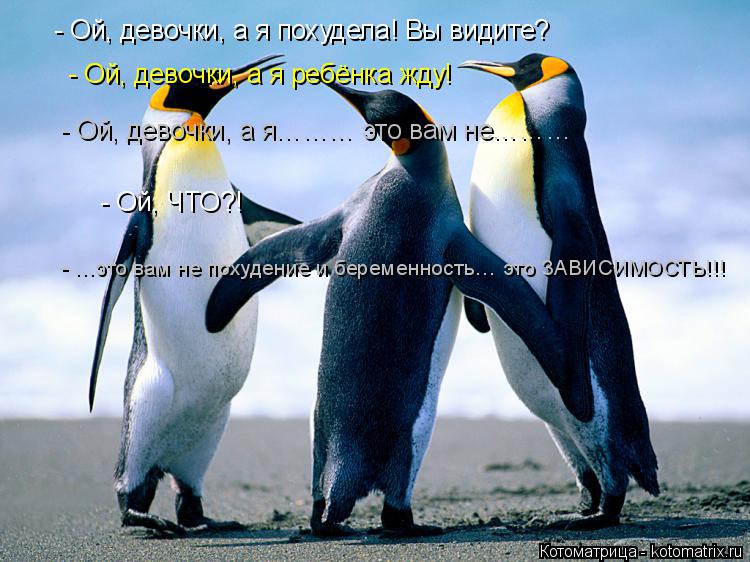 - Ой, девочки, а я похудела! Вы видите? - Ой, девочки, а я ребёнка жду! - Ой, ЧТО?! - Ой, девочки, а ... Котоматрица: - Ой, девочки, а я похудела! Вы видите? - Ой, девочки, а я ребёнка жду! - Ой, ЧТО?! - Ой, девочки, а я……… это вам не……… - …это вам не похудение и бе