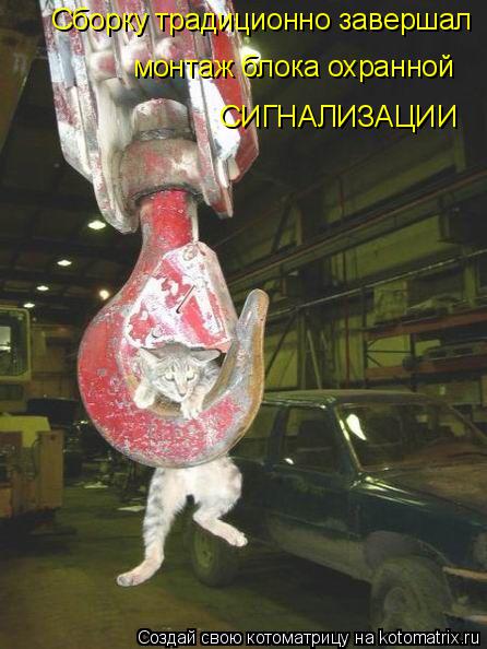 монтаж блока охранной СИГНАЛИЗАЦИИ Сборку традиционно завершал... Котоматрица: монтаж блока охранной СИГНАЛИЗАЦИИ Сборку традиционно завершал