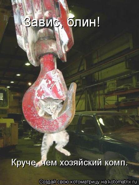 Завис, блин! Круче, чем хозяйский комп.... Котоматрица: Завис, блин! Круче, чем хозяйский комп.