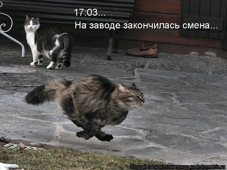 17:03... На заводе закончилась смена...... Котоматрица: 17:03... На заводе закончилась смена...