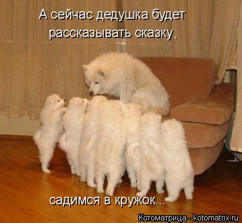 А сейчас дедушка будет рассказывать сказку садимся в кружок... .... Котоматрица: А сейчас дедушка будет рассказывать сказку садимся в кружок... .
