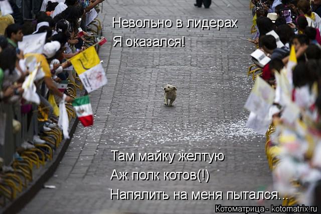 Невольно в лидерах Я оказался! Там майку желтую Аж полк котов(!) Напялить на меня пытался...... Котоматрица: Невольно в лидерах Я оказался! Там майку желтую Аж полк котов(!) Напялить на меня пытался...
