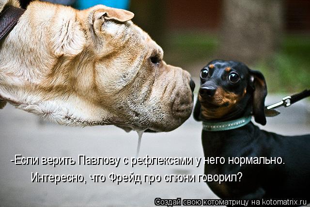 -Если верить Павлову с рефлексами у него нормально. Интересно, что Фрейд про слюни говорил?... Котоматрица: -Если верить Павлову с рефлексами у него нормально. Интересно, что Фрейд про слюни говорил?