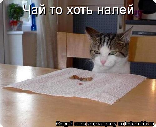 Чай то хоть налей... Котоматрица: Чай то хоть налей