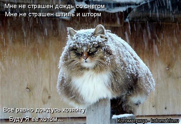 Мне не страшен дождь со снегом Мне не страшен штиль и шторм Все равно дождусь хозяйку Буду Я ее котом... Котоматрица: Мне не страшен дождь со снегом Мне не страшен штиль и шторм Все равно дождусь хозяйку Буду Я ее котом...