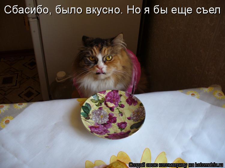 Сбасибо, было вкусно. Но я бы еще съел... Котоматрица: Сбасибо, было вкусно. Но я бы еще съел