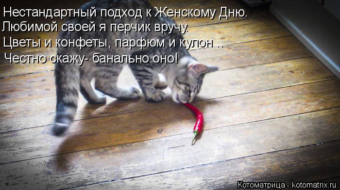 Нестандартный подход к Женскому Дню. Любимой своей я перчик вручу. Цветы и конфеты, парфюм и кулон ..... Котоматрица: Нестандартный подход к Женскому Дню. Любимой своей я перчик вручу. Цветы и конфеты, парфюм и кулон .. Честно скажу- банально оно!