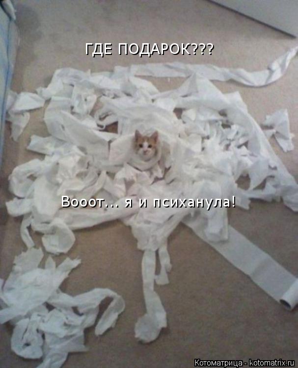 ГДЕ ПОДАРОК??? Вооот... я и психанула!... Котоматрица: ГДЕ ПОДАРОК??? Вооот... я и психанула!