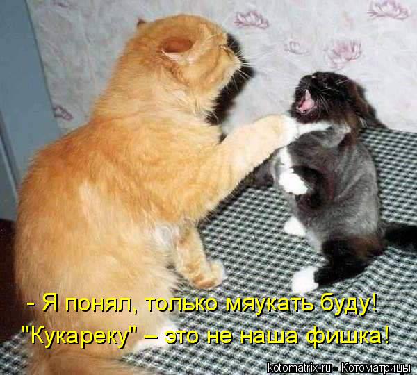 - Я понял, только мяукать буду! "Кукареку" – это не наша фишка!... Котоматрица: - Я понял, только мяукать буду! "Кукареку" – это не наша фишка!