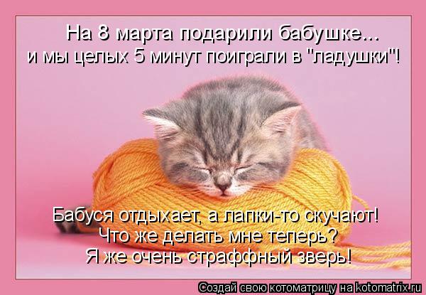 На 8 марта подарили бабушке... и мы целых 5 минут поиграли в "ладушки"! Что же делать мне теперь? Баб... Котоматрица: На 8 марта подарили бабушке... и мы целых 5 минут поиграли в "ладушки"! Что же делать мне теперь? Бабуся отдыхает, а лапки-то скучают! Я же очень