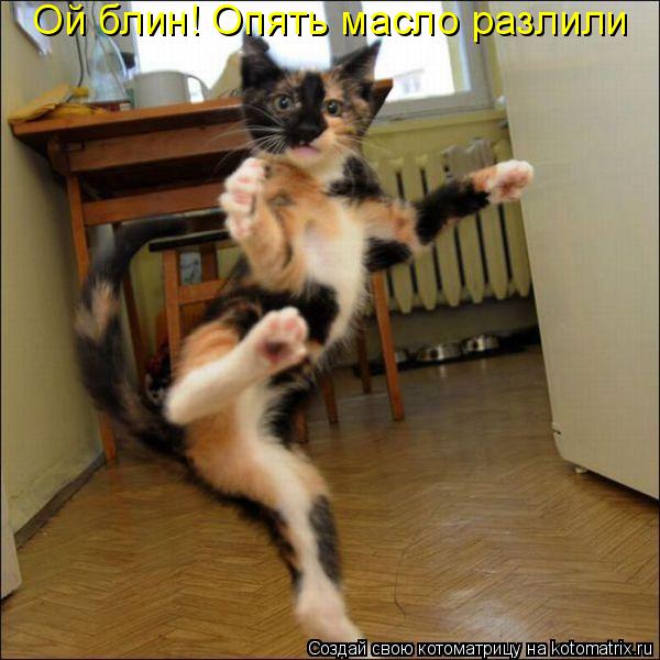 Ой блин! Опять масло разлили... Котоматрица: Ой блин! Опять масло разлили
