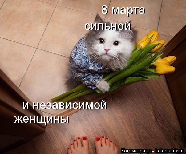 8 марта сильной и независимой женщины... Котоматрица: 8 марта сильной и независимой женщины