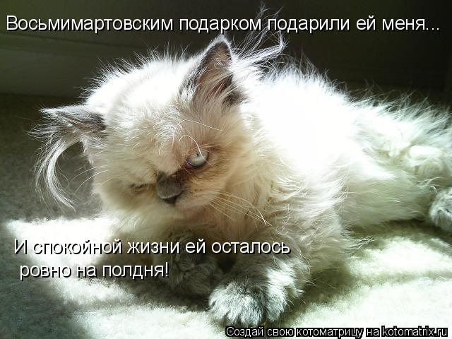 Восьмимартовским подарком подарили ей меня... И спокойной жизни ей осталось ровно на полдня!... Котоматрица: Восьмимартовским подарком подарили ей меня... И спокойной жизни ей осталось ровно на полдня!