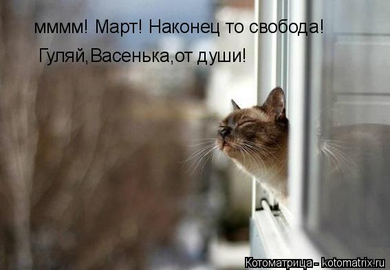 мммм! Март! Наконец то свобода! Гуляй,Васенька,от души!... Котоматрица: мммм! Март! Наконец то свобода! Гуляй,Васенька,от души!