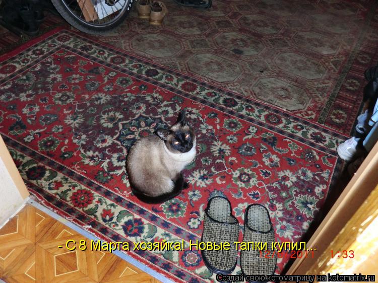 - С 8 Марта хозяйка! Новые тапки купил...... Котоматрица: - С 8 Марта хозяйка! Новые тапки купил...
