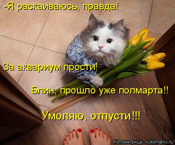 Котоматрица: -Я раскаиваюсь, правда! За аквариум прости! Блин, прошло уже полмарта!! Умоляю, отпусти!!!