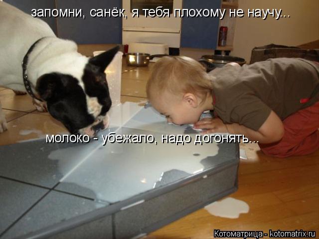 запомни, санёк, я тебя плохому не научу... молоко - убежало, надо догонять...... Котоматрица: запомни, санёк, я тебя плохому не научу... молоко - убежало, надо догонять...