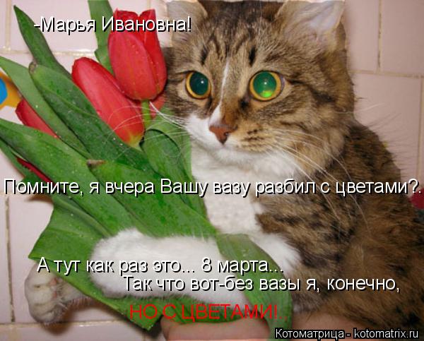 -Марья Ивановна! А тут как раз это... 8 марта... Так что вот-без вазы я, конечно, Помните, я вчера Ва... Котоматрица: -Марья Ивановна! А тут как раз это... 8 марта... Так что вот-без вазы я, конечно, Помните, я вчера Вашу вазу разбил с цветами?.. НО С ЦВЕТАМИ!..