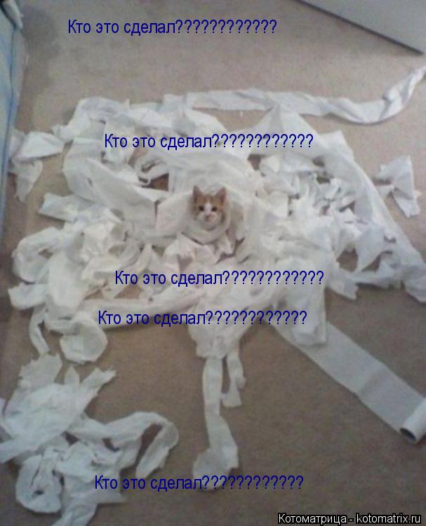 Кто это сделал???????????? Кто это сделал???????????? Кто это сделал???????????? Кто это сделал??????... Котоматрица: Кто это сделал???????????? Кто это сделал???????????? Кто это сделал???????????? Кто это сделал???????????? Кто это сделал????????????