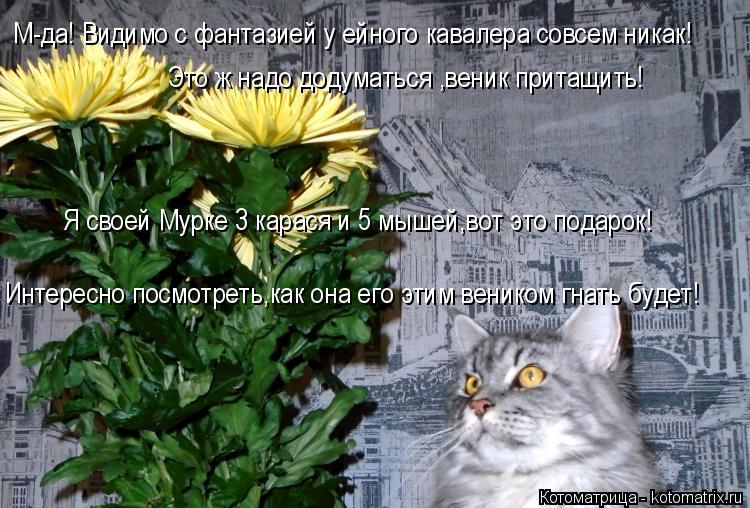 М-да! Видимо с фантазией у ейного кавалера совсем никак! Это ж надо додуматься ,веник притащить! Я св... Котоматрица: М-да! Видимо с фантазией у ейного кавалера совсем никак! Это ж надо додуматься ,веник притащить! Я своей Мурке 3 карася и 5 мышей,вот это подар