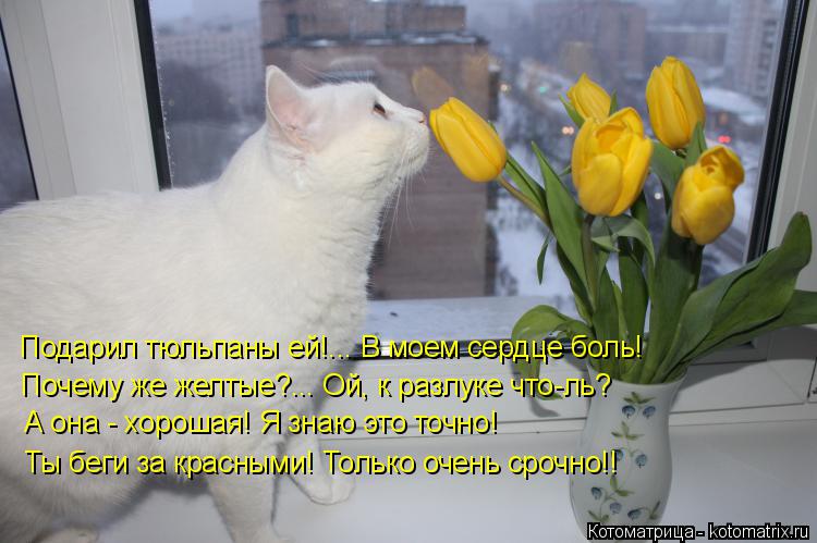 Примета нельзя дарить мыло почему Примета нельзя дарить мыло почему