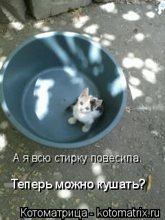 А я всю стирку повесила. Теперь можно кушать?... Котоматрица: А я всю стирку повесила. Теперь можно кушать?