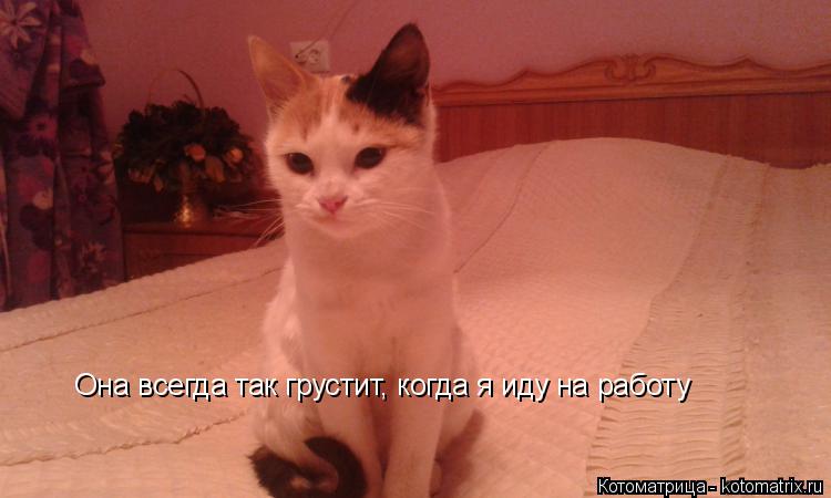 Она всегда так грустит, когда я иду на работу... Котоматрица: Она всегда так грустит, когда я иду на работу